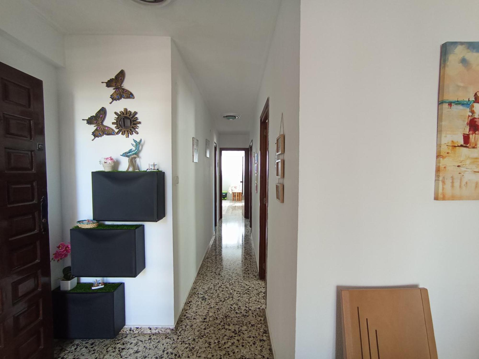 Apartamento 3 Paupi 奥利瓦 外观 照片